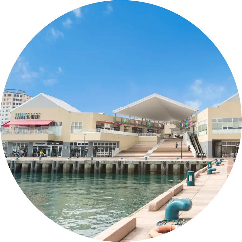 ギャラリーイメージ 3